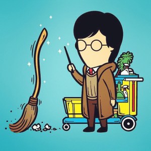 Harry 'Sweeper' Potter