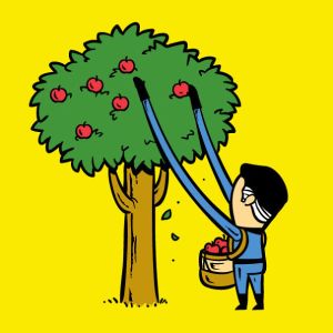 Mr. 'Fruit Plucker' Fantastic