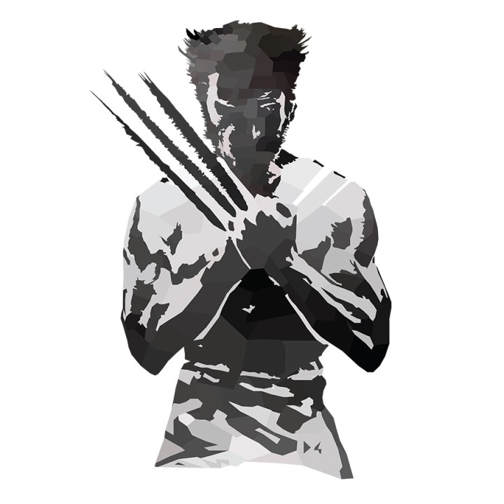 Wolverine Low Poly Claws