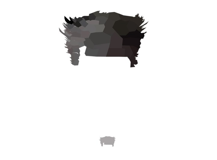 Wolverine Low Poly Head