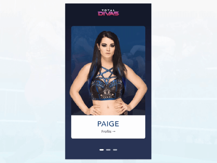 Total Divas Profile Interaction