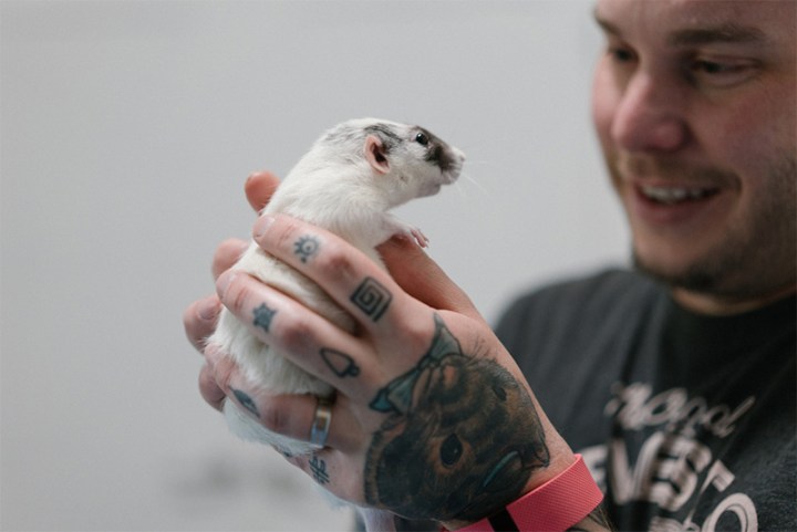 Paul and his Rat