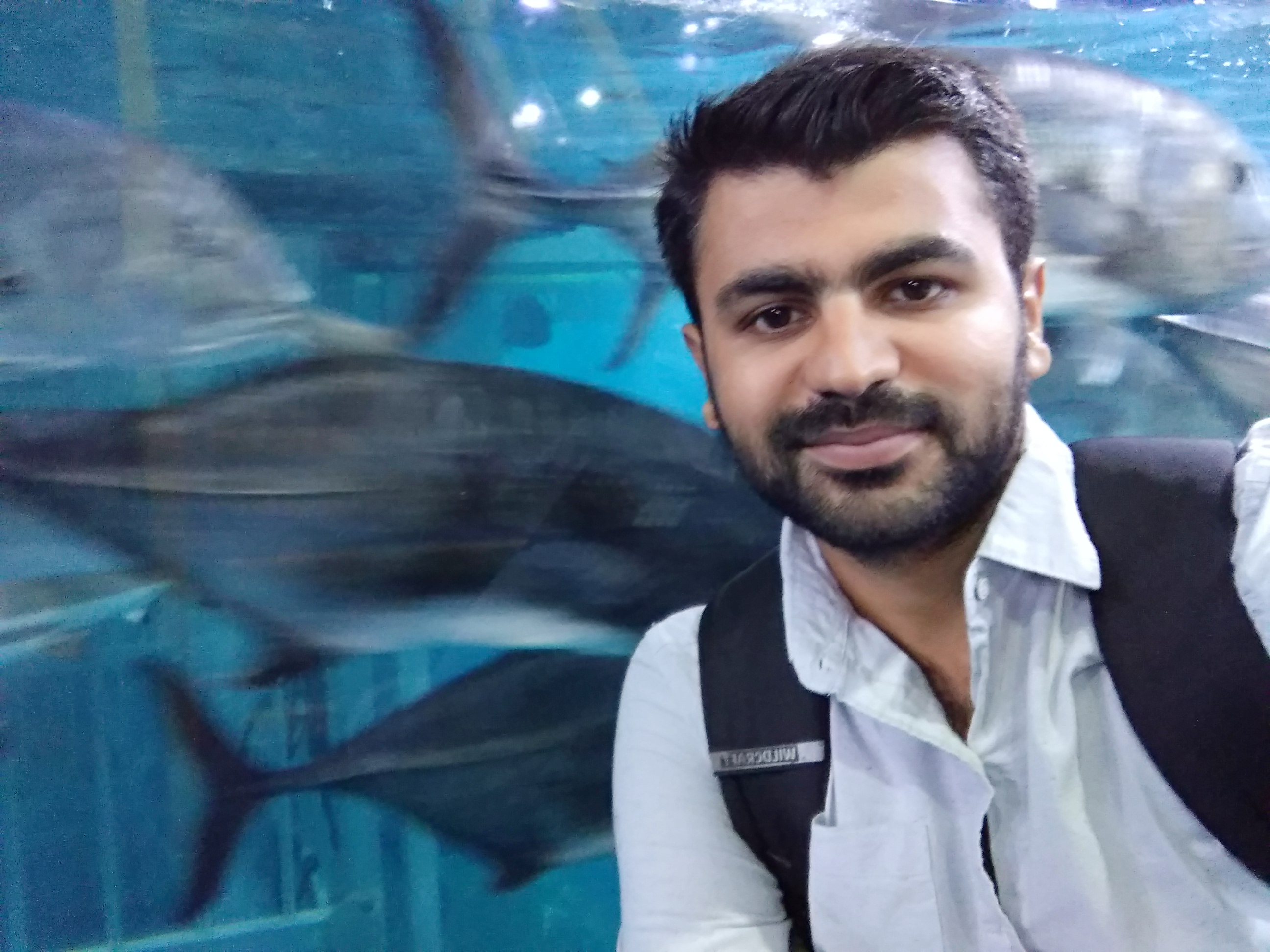 Darshan Dubai Aquarium
