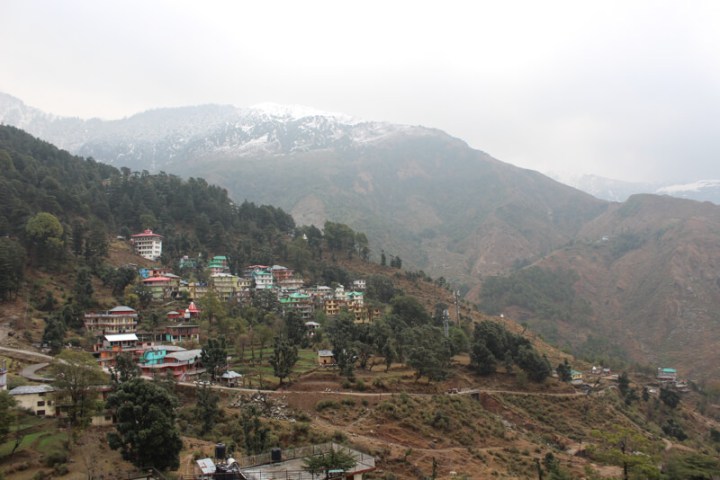 Hotel Backpackers Inn