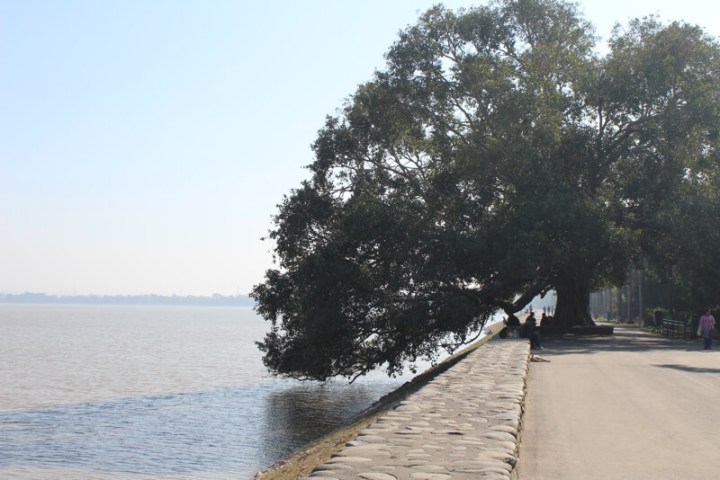 Sukhna Lake – 2