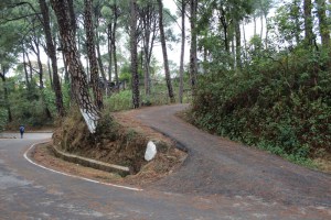 Dharamshala 2