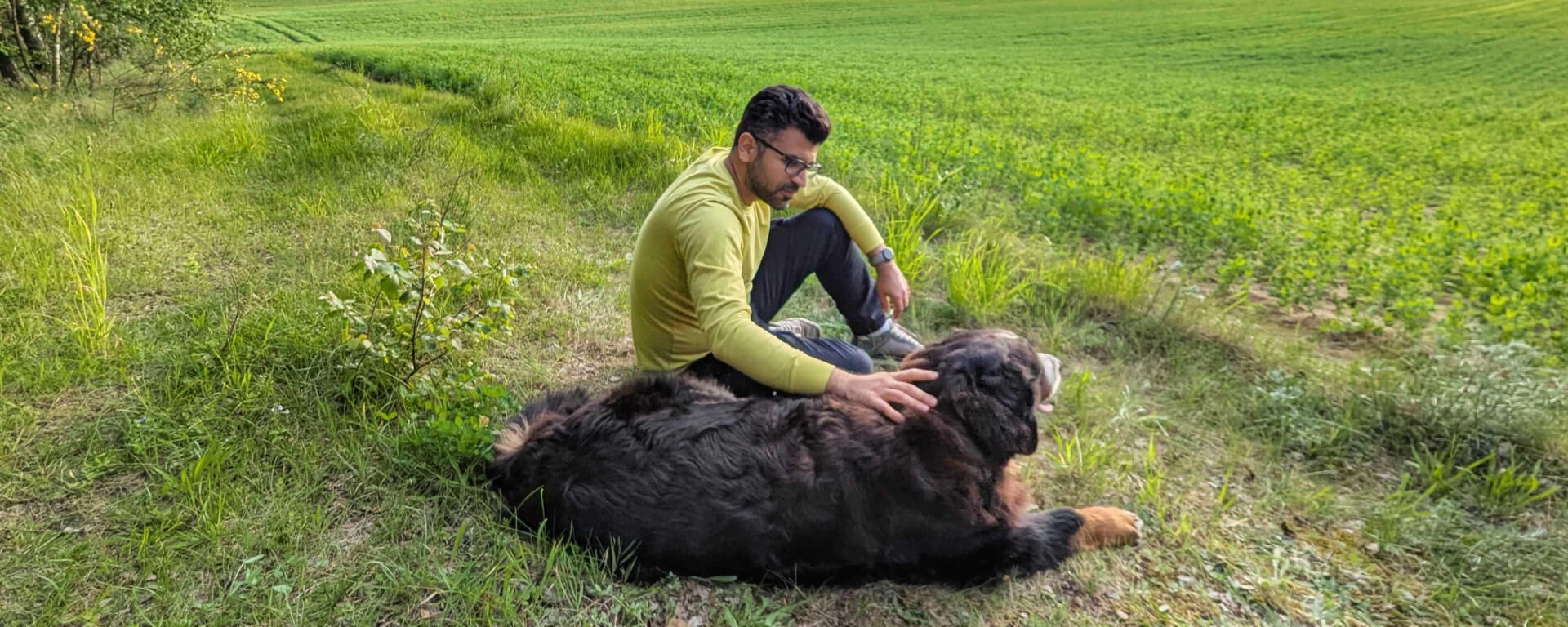 Year of Creative Break